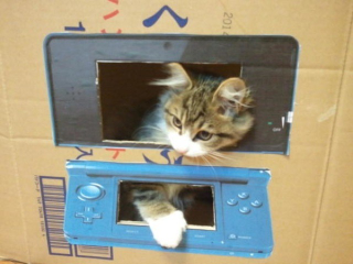 Illustration for article titled Here Are Japan's Silly Internet Pictures